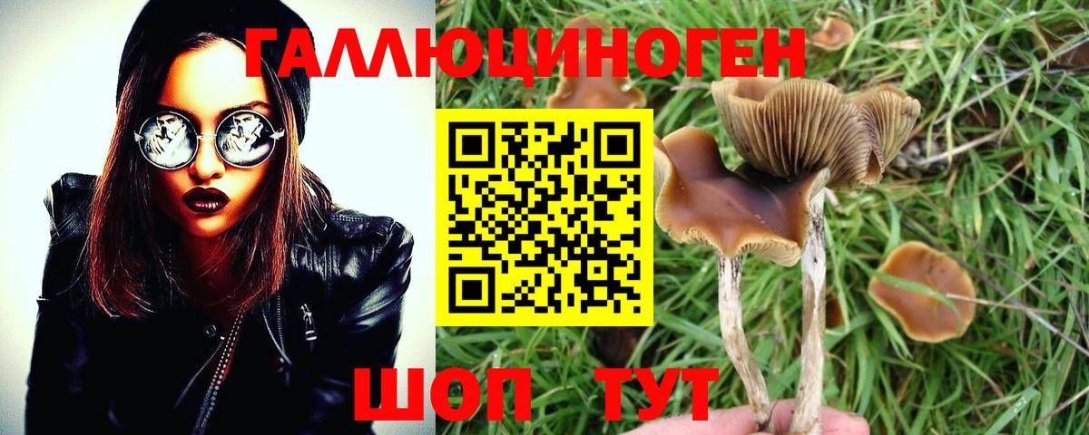 Псилоцибиновые грибы мухоморы  Псилоцибиновые грибы мухоморы  Вход с VPN  Обнинск 