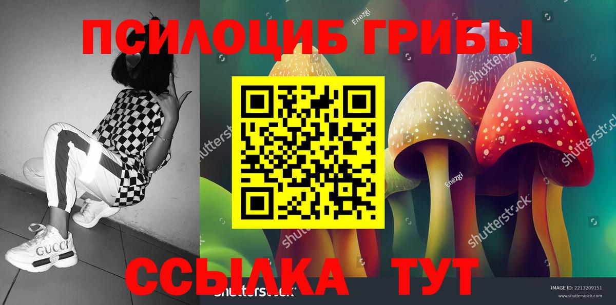 Галлюциногенные грибы прущие грибы Обнинск